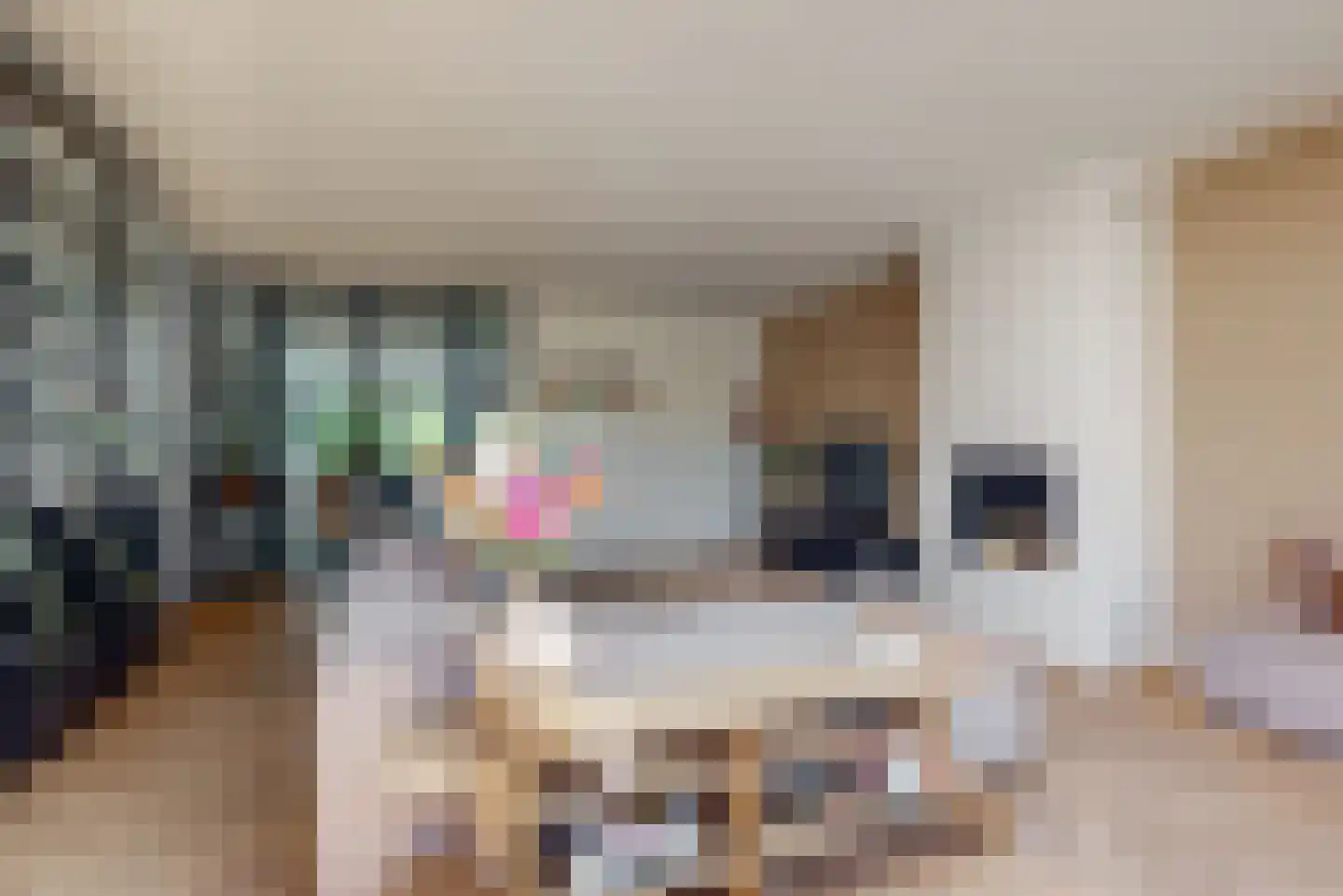Rijksweg 61 Limmen thumbnail 8