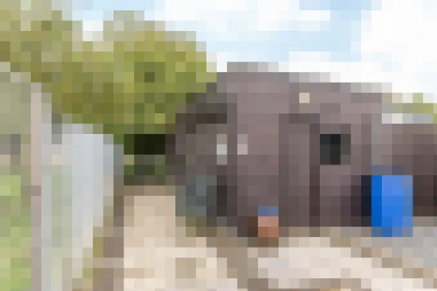 Rijksweg 62 Cadier en Keer thumbnail 28