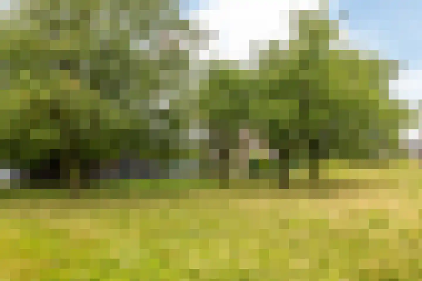 Rijksweg 62 Cadier en Keer thumbnail 31