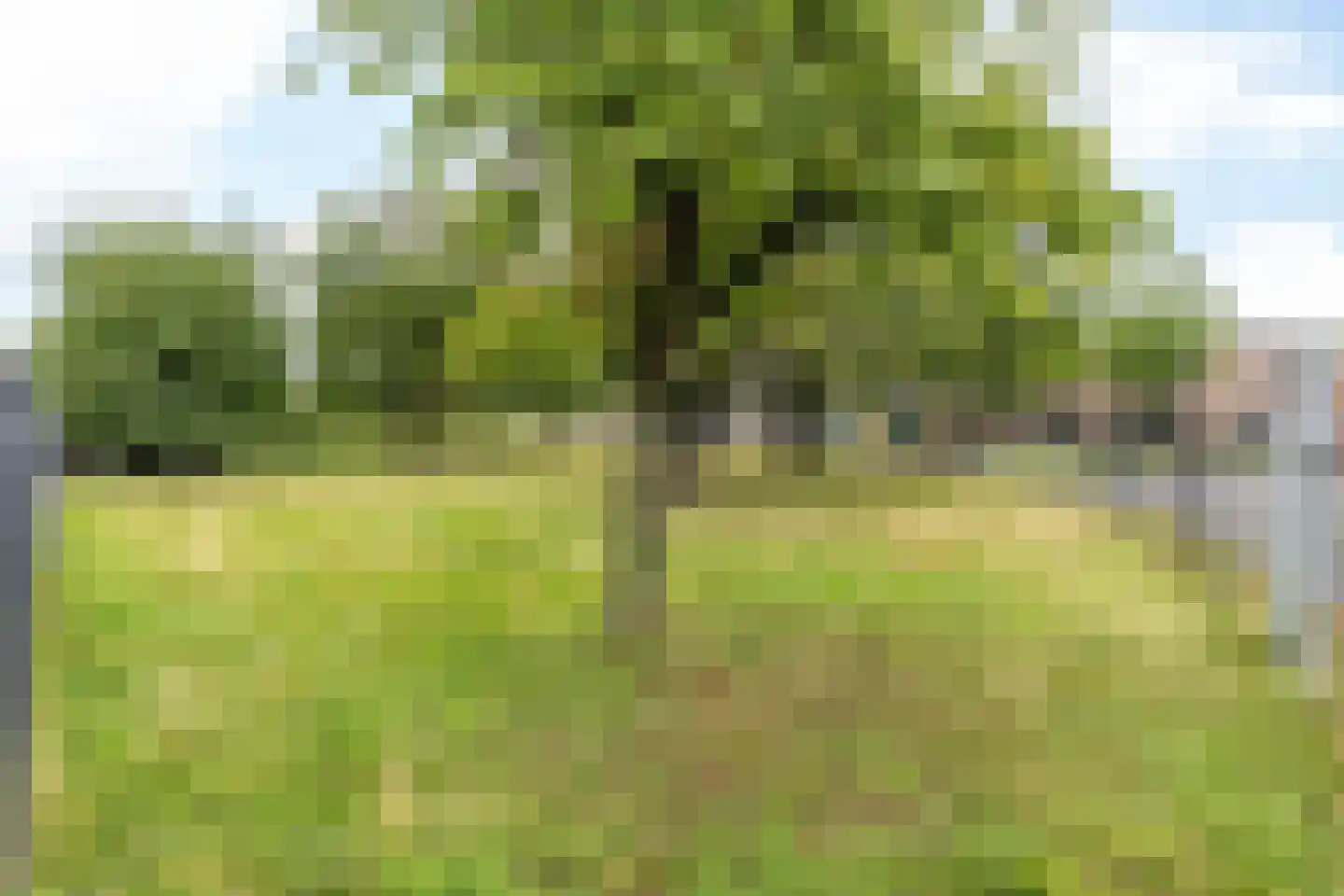 Rijksweg 62 Cadier en Keer thumbnail 33
