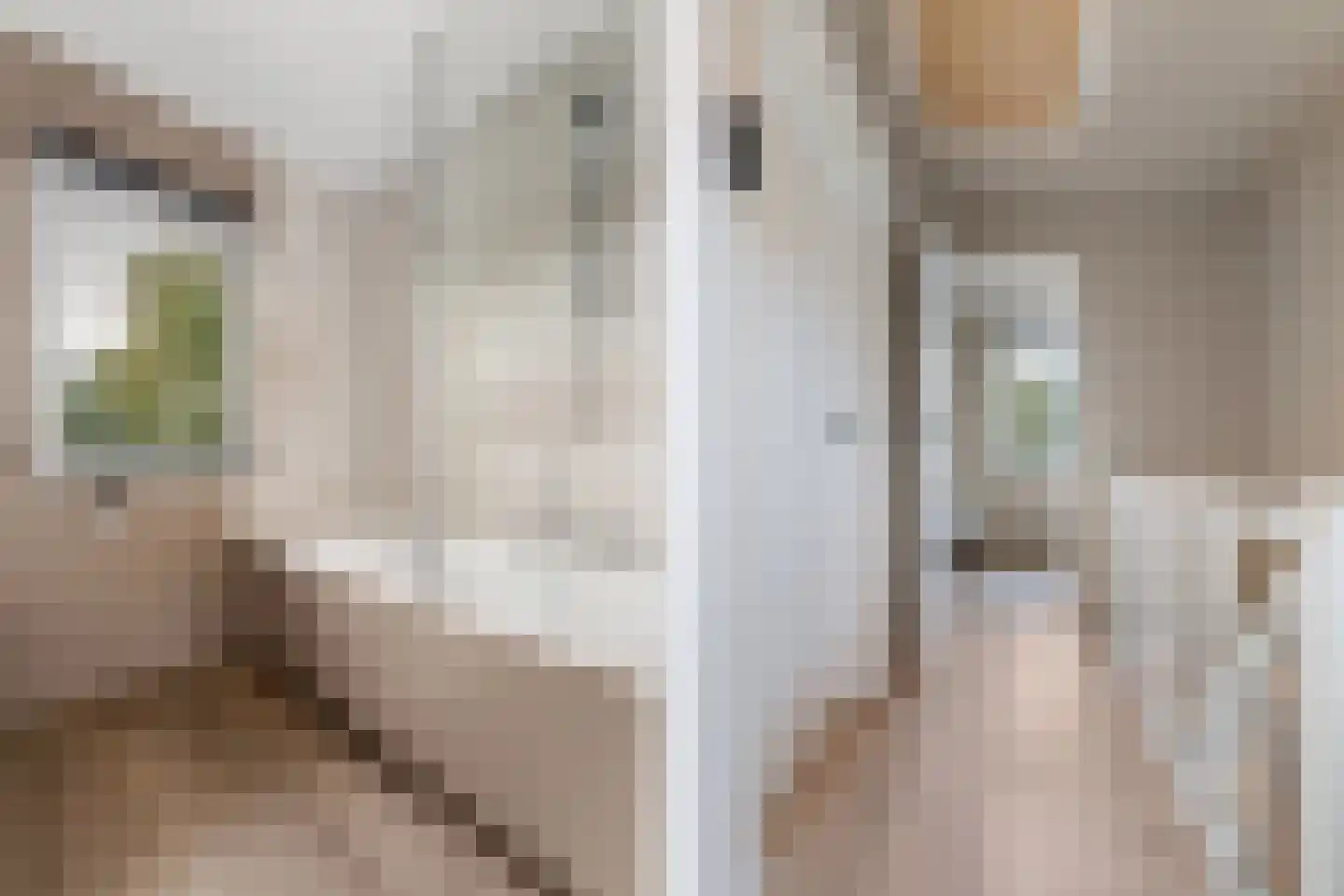Rijksweg 63 Berg en Terblijt thumbnail 12
