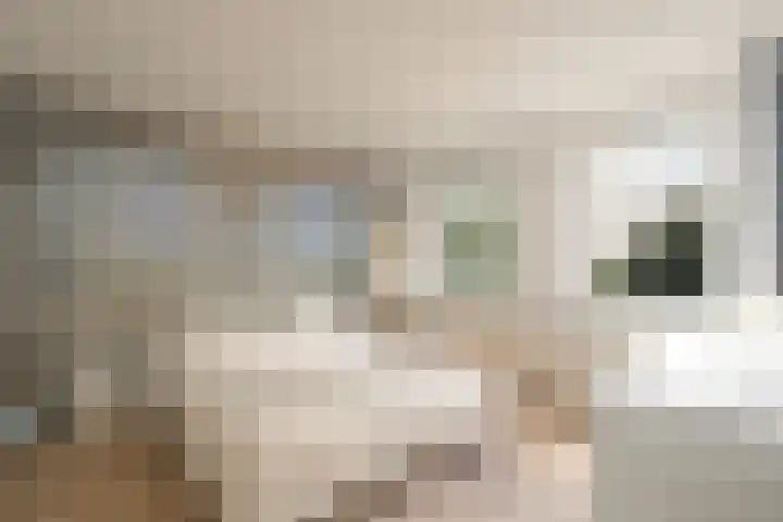 Rijksweg 63 Berg en Terblijt thumbnail 12