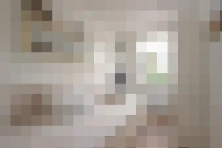 Rijksweg 63 Berg en Terblijt thumbnail 14