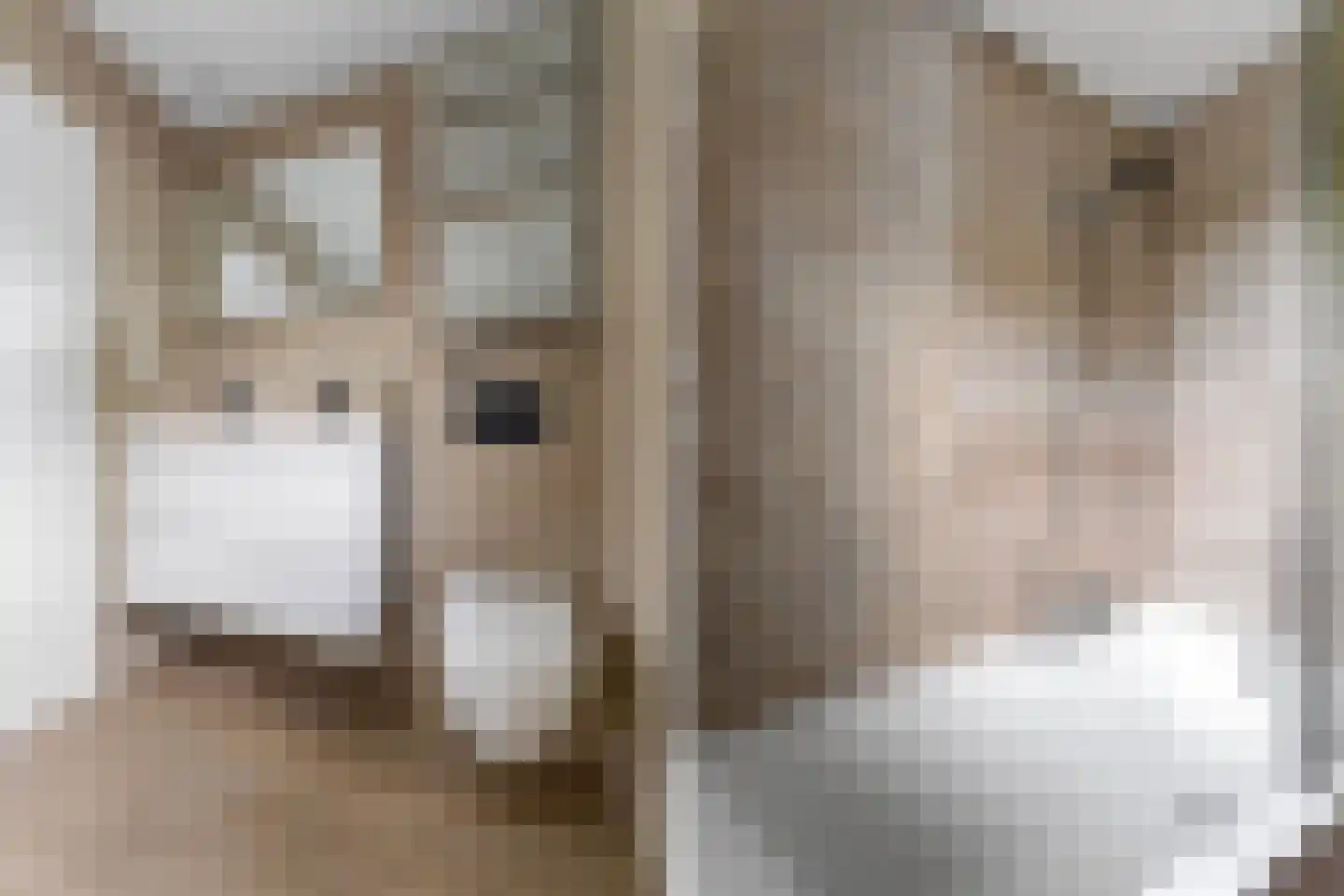 Rijksweg 63 Berg en Terblijt thumbnail 14