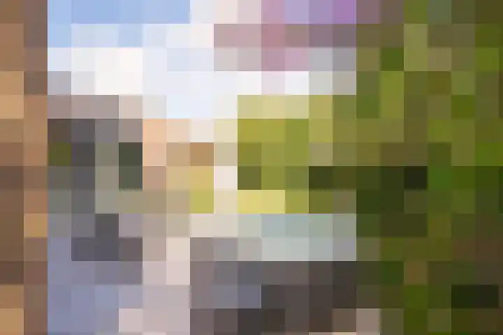 Rijksweg 63 Berg en Terblijt thumbnail 21