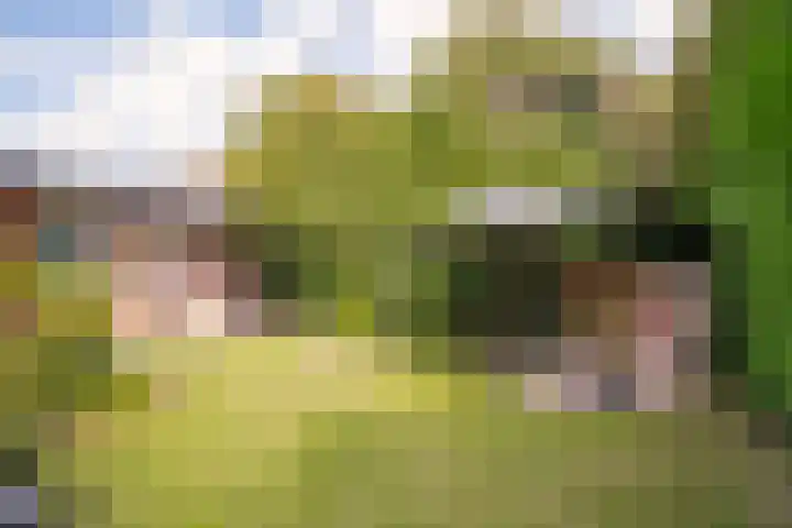 Rijksweg 63 Berg en Terblijt thumbnail 22