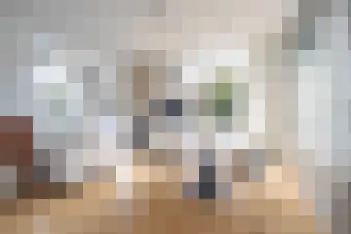 Rijksweg 63 Berg en Terblijt thumbnail 5