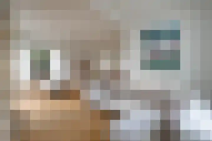 Rijksweg 63 Berg en Terblijt thumbnail 7