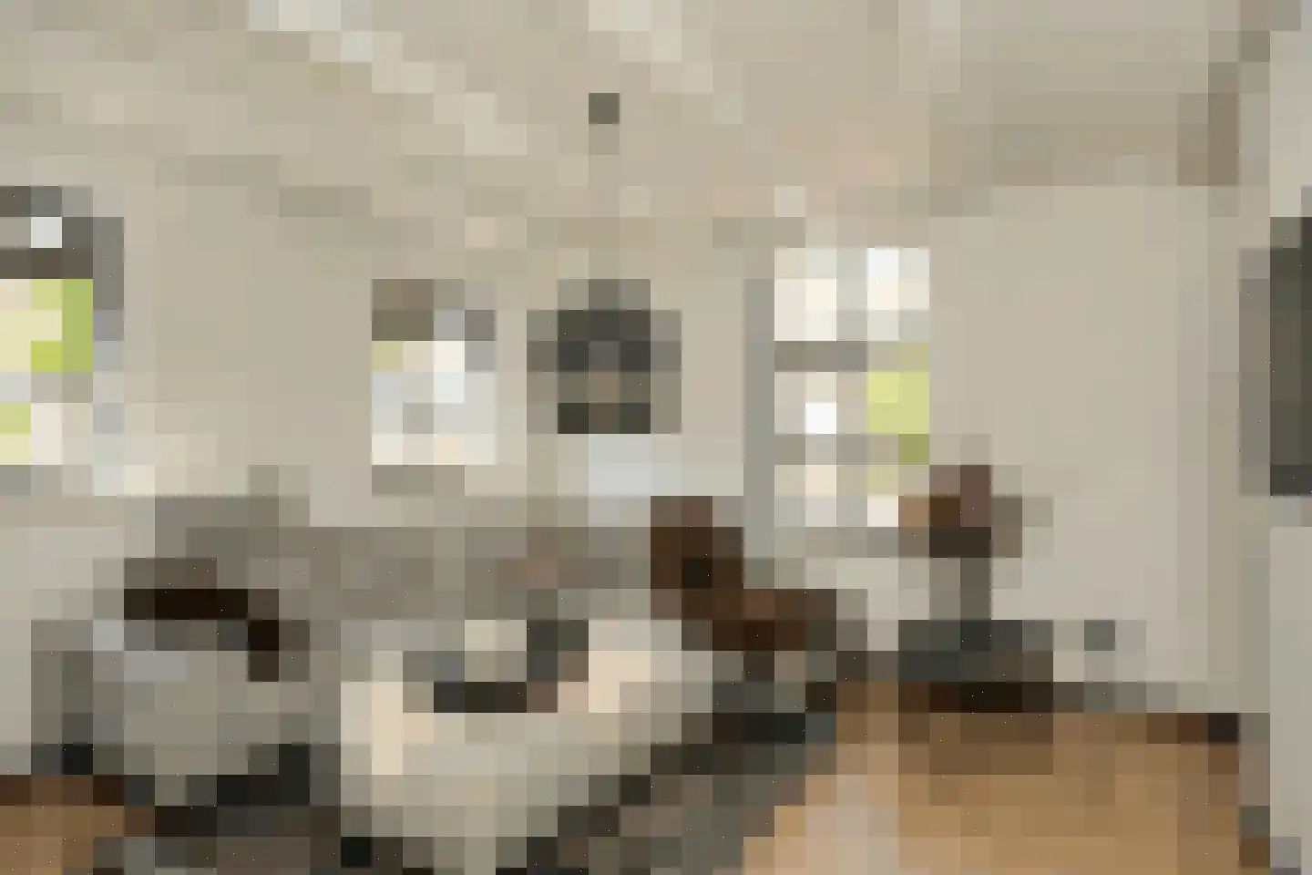 Rijksweg 64 Nieuwendijk foto 2