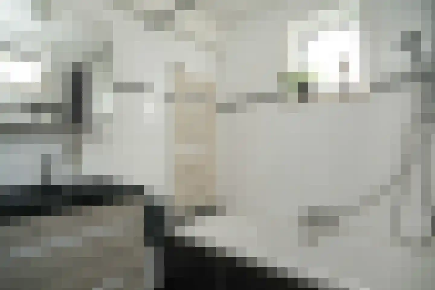 Rijksweg 64 Nieuwendijk thumbnail 23