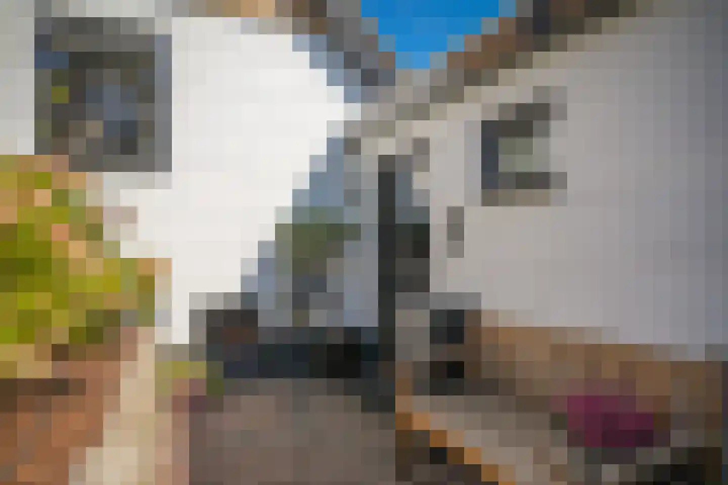 Rijksweg 64 Nieuwendijk thumbnail 39