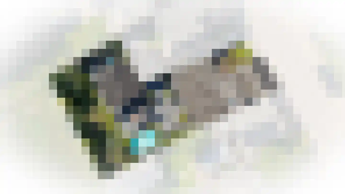 Rijksweg 64 Nieuwendijk thumbnail 45