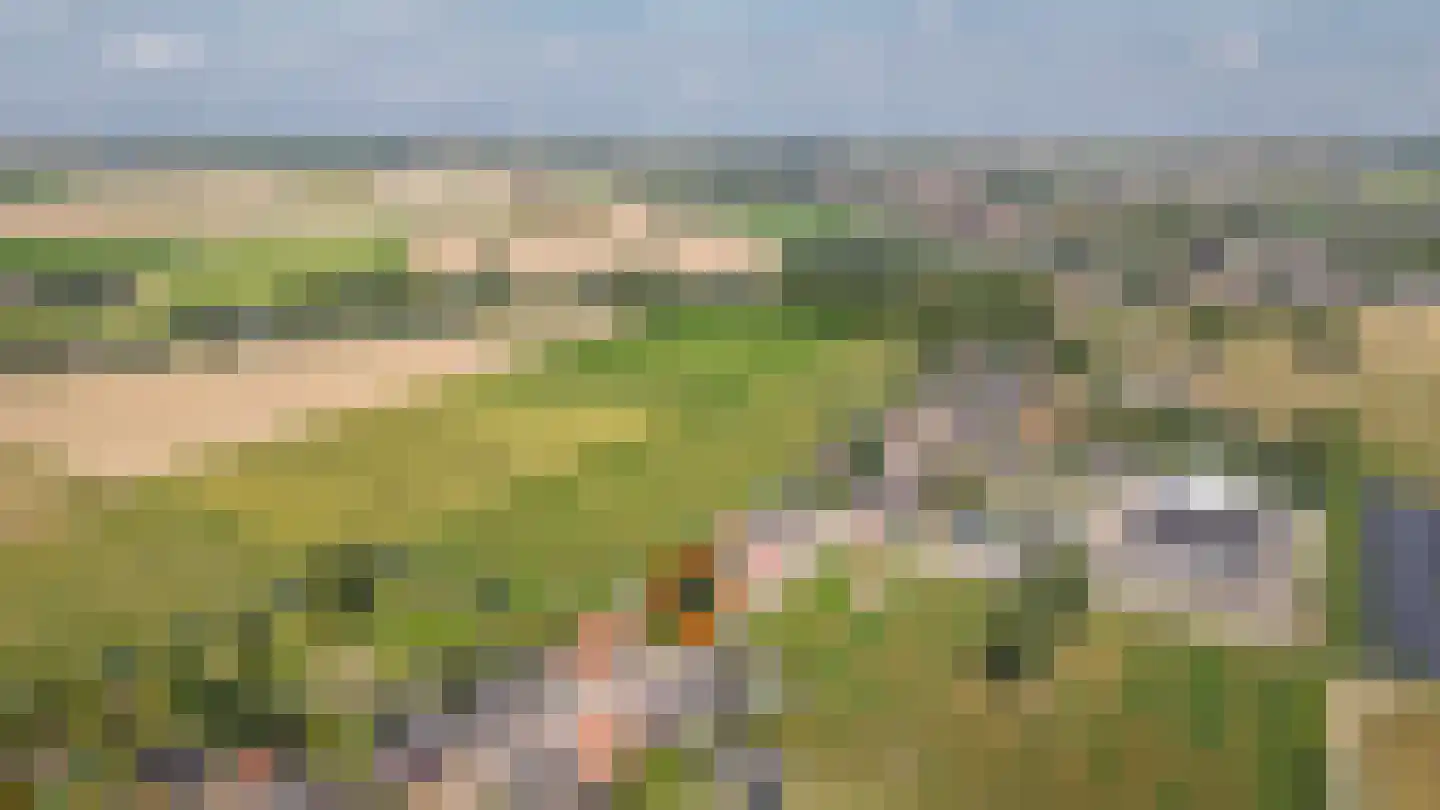 Rijksweg 64 Nieuwendijk thumbnail 47
