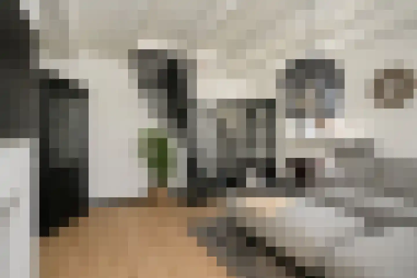 Rijksweg 64 Nieuwendijk thumbnail 5