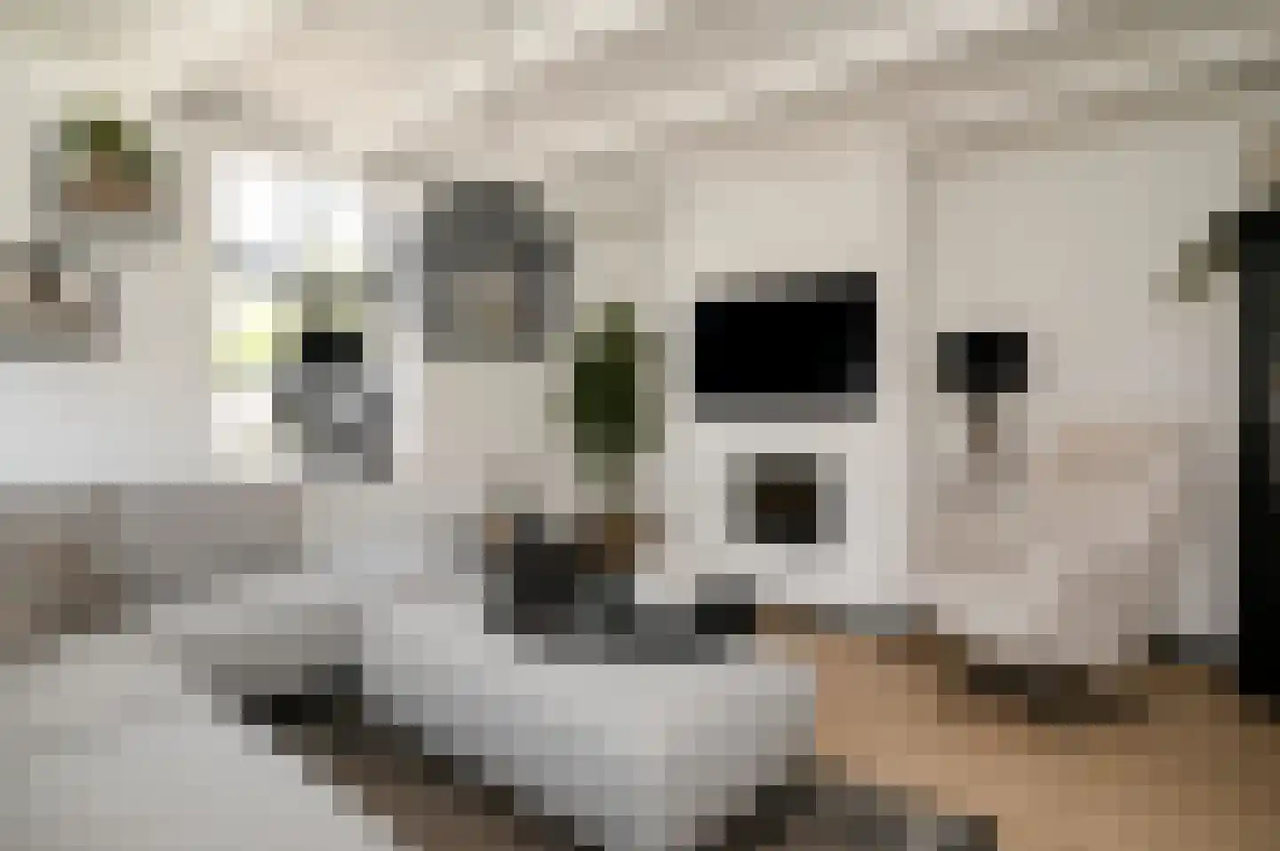 Rijksweg 64 Nieuwendijk thumbnail 6