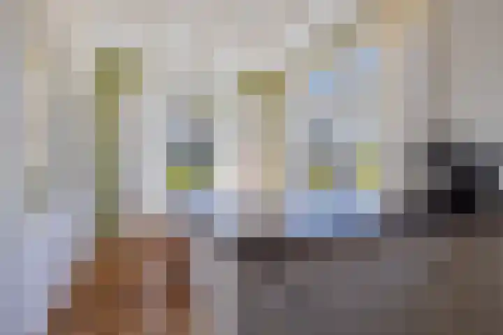 Rijksweg 66 Jirnsum thumbnail 10