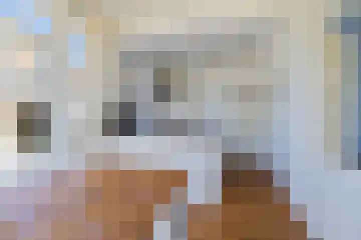 Rijksweg 66 Jirnsum thumbnail 12