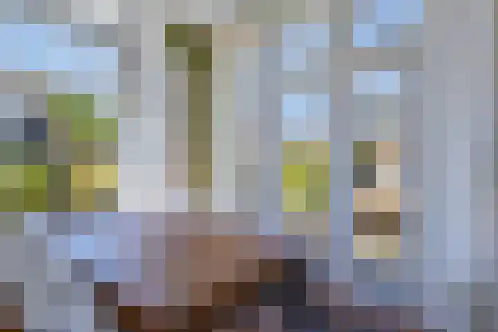 Rijksweg 66 Jirnsum thumbnail 14