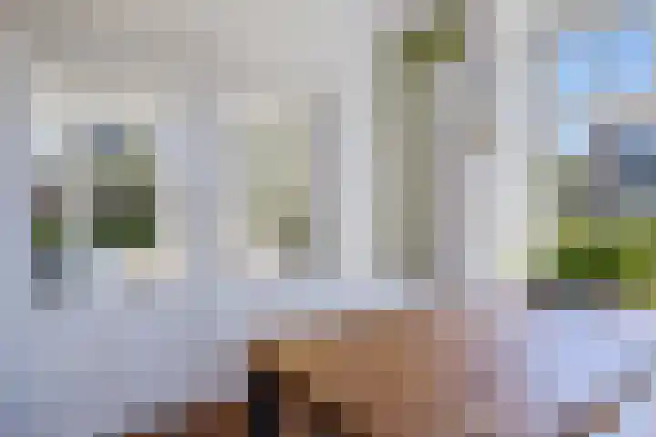 Rijksweg 66 Jirnsum thumbnail 15