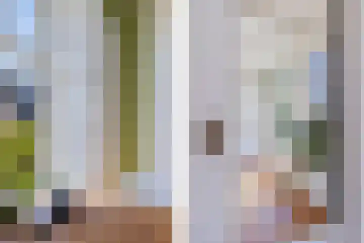 Rijksweg 66 Jirnsum thumbnail 17