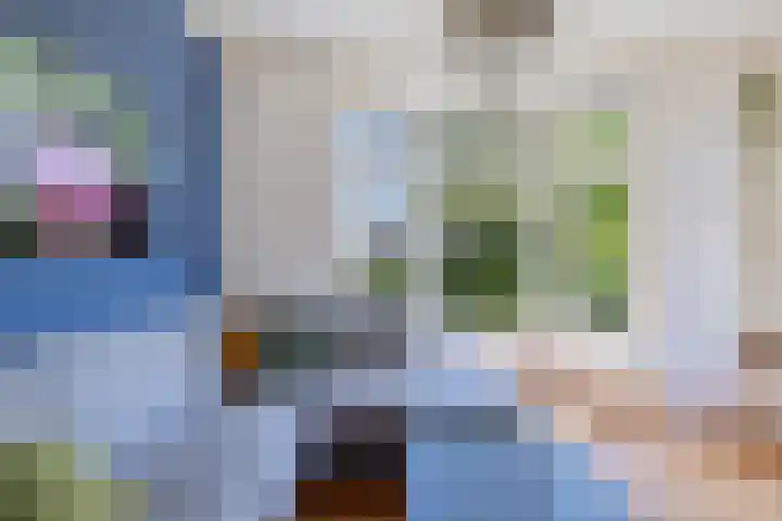 Rijksweg 66 Jirnsum thumbnail 20