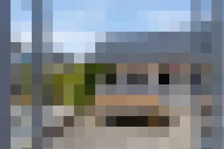 Rijksweg 66 Jirnsum thumbnail 32