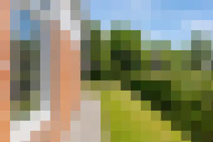 Rijksweg 66 Jirnsum thumbnail 38