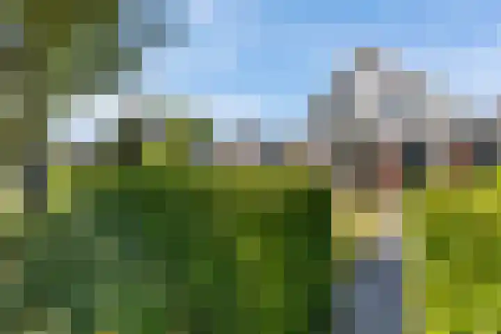 Rijksweg 66 Jirnsum thumbnail 40