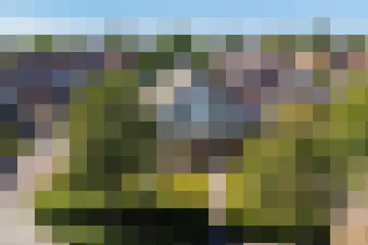 Rijksweg 66 Jirnsum thumbnail 41