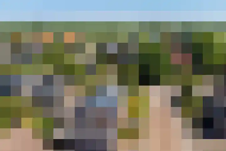Rijksweg 66 Jirnsum thumbnail 43