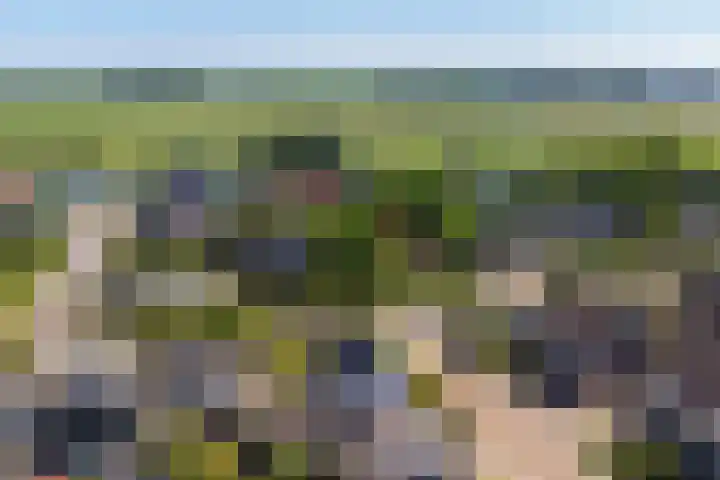 Rijksweg 66 Jirnsum thumbnail 44