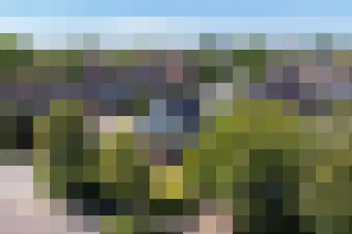 Rijksweg 66 Jirnsum thumbnail 45