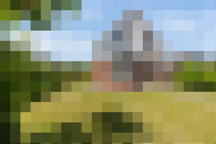 Rijksweg 66 Jirnsum thumbnail 46