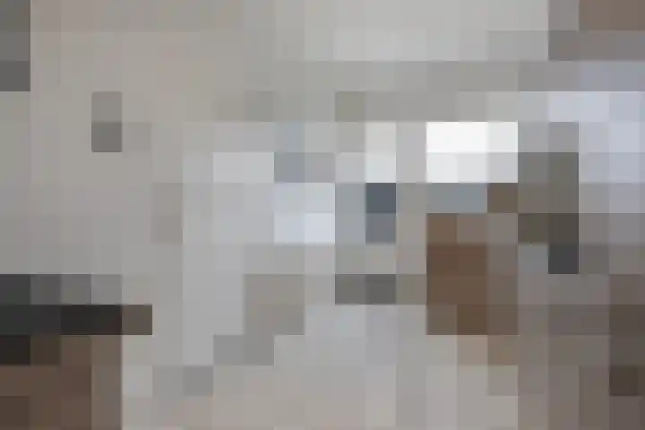 Rijksweg 67 Dorst thumbnail 10
