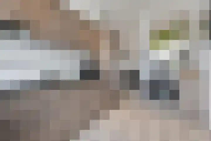 Rijksweg 67 Dorst thumbnail 11
