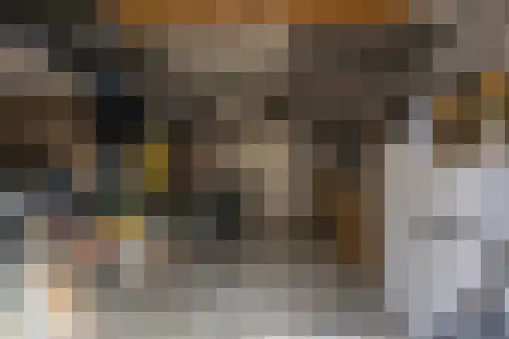 Rijksweg 67 Dorst thumbnail 24