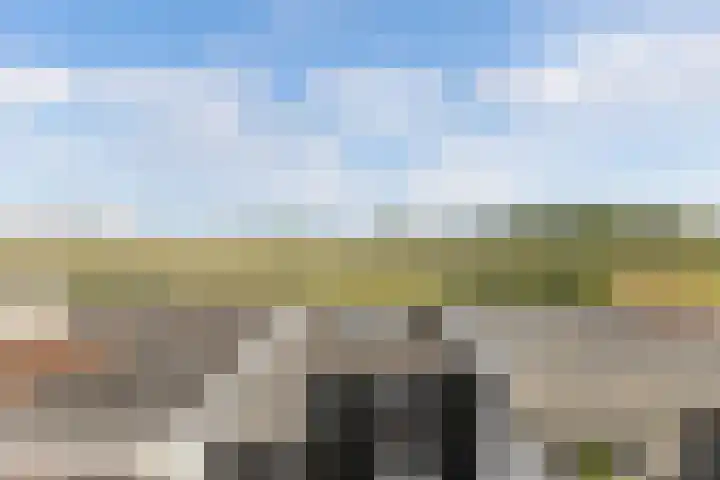Rijksweg 67 Dorst thumbnail 4