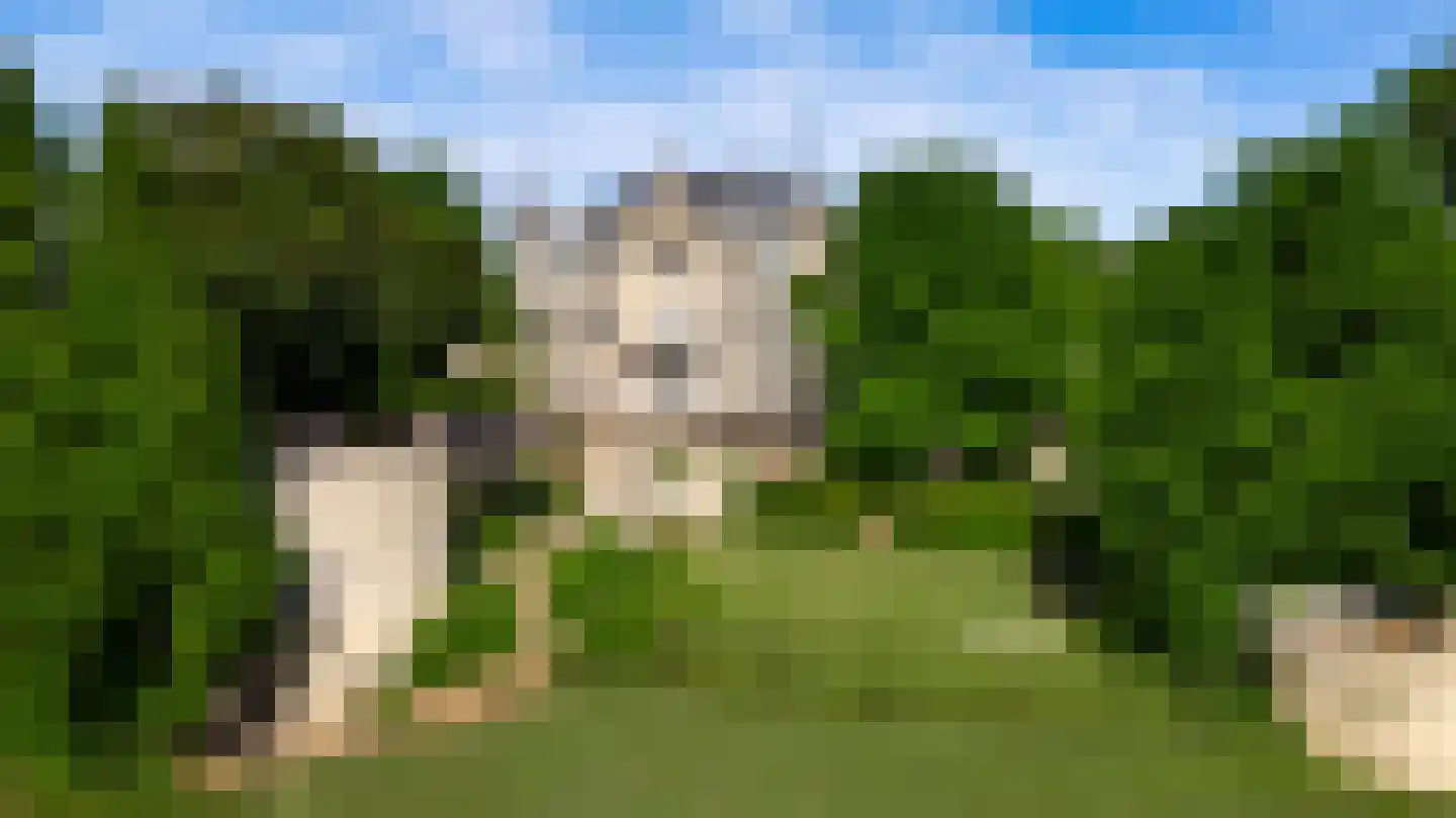 Rijksweg 68 dans Gronsveld