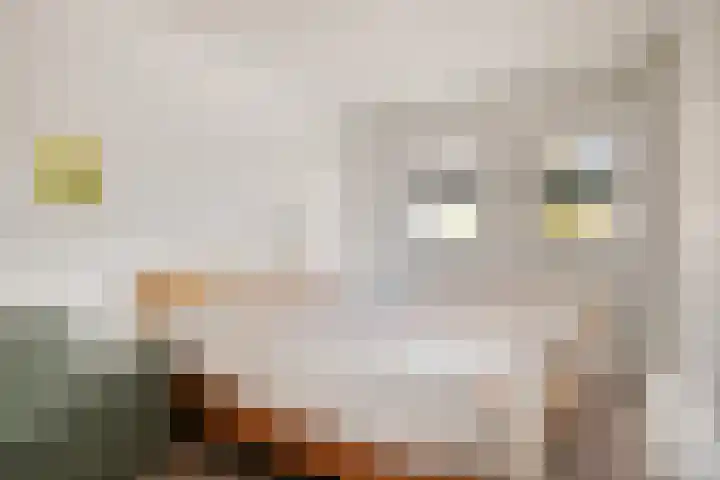 Rijksweg 68 b Mook thumbnail 15