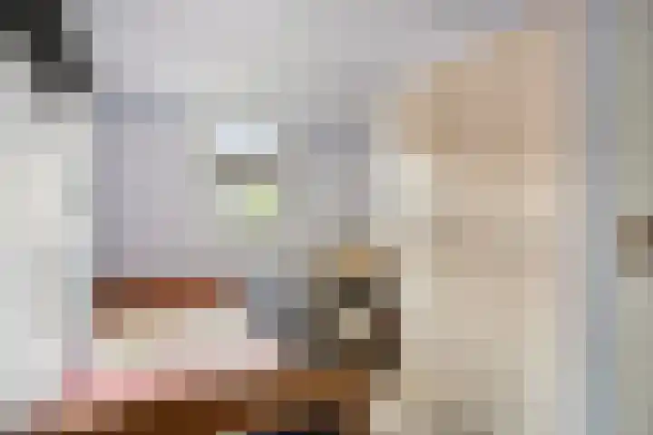 Rijksweg 68 b Mook thumbnail 17