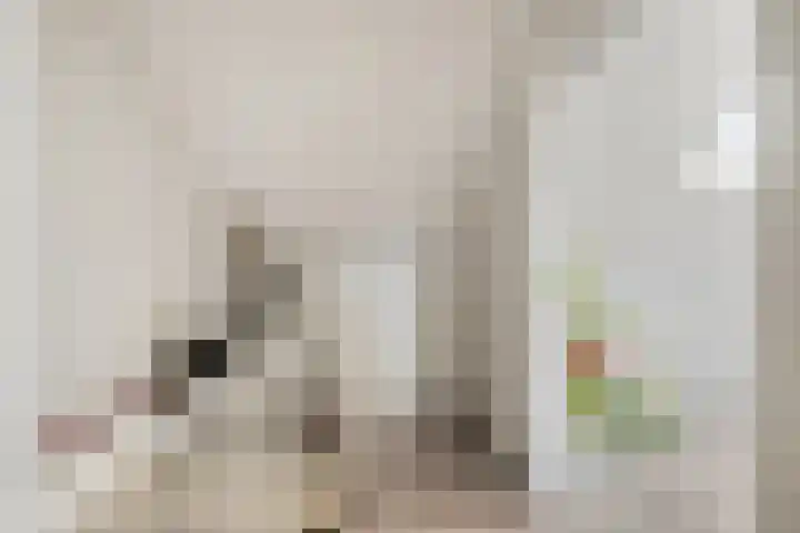 Rijksweg 68 b Mook thumbnail 21