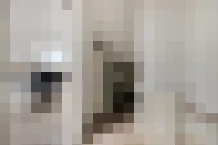 Rijksweg 68 b Mook thumbnail 22