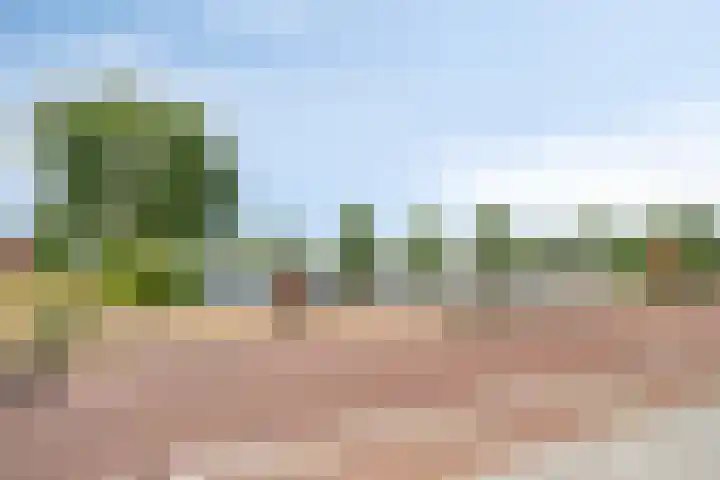 Rijksweg 68 b Mook thumbnail 32
