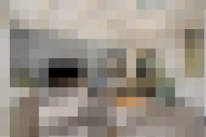 Rijksweg 68 b Mook thumbnail 8