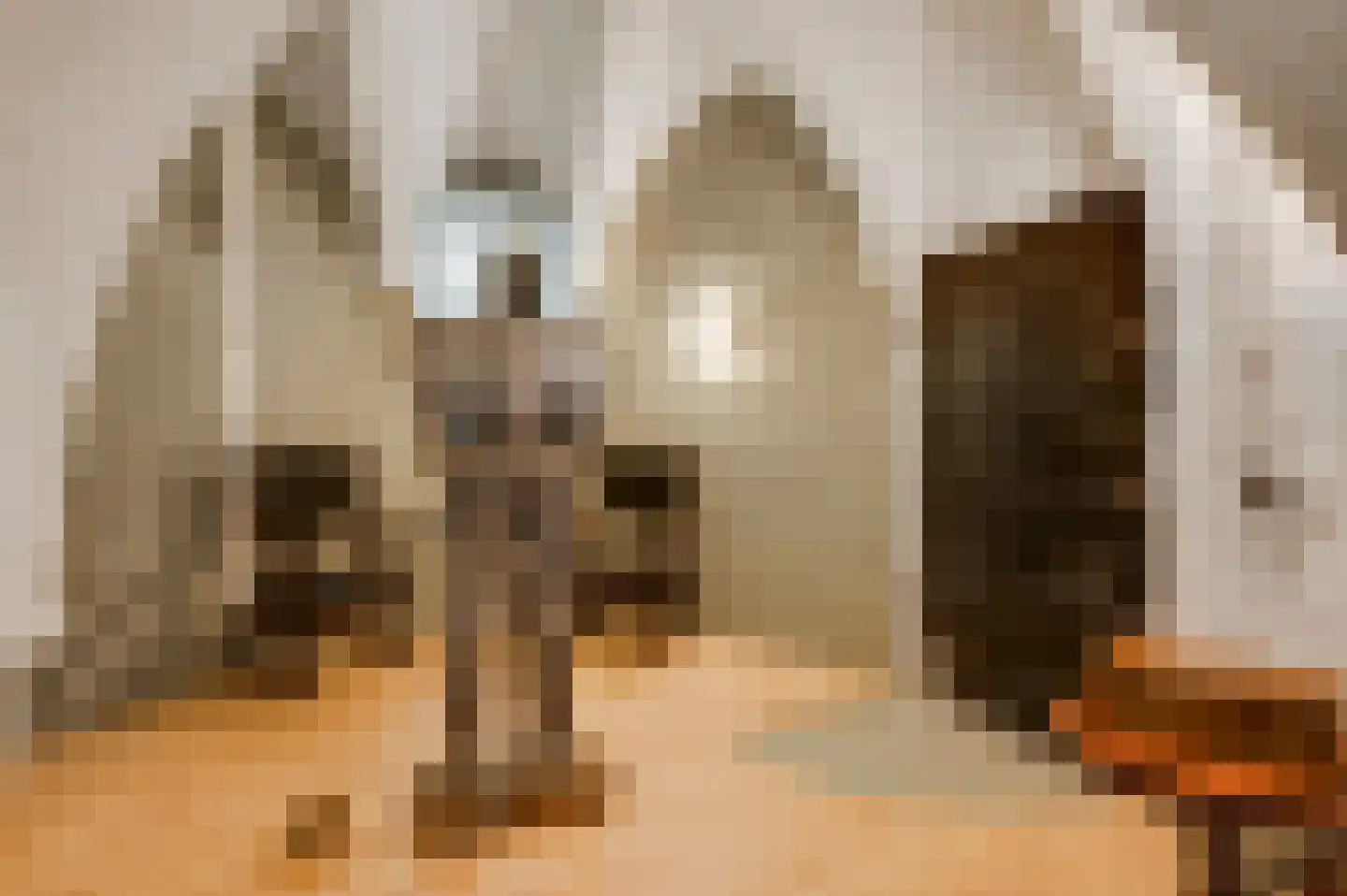 Rijksweg 68 Gronsveld thumbnail 15