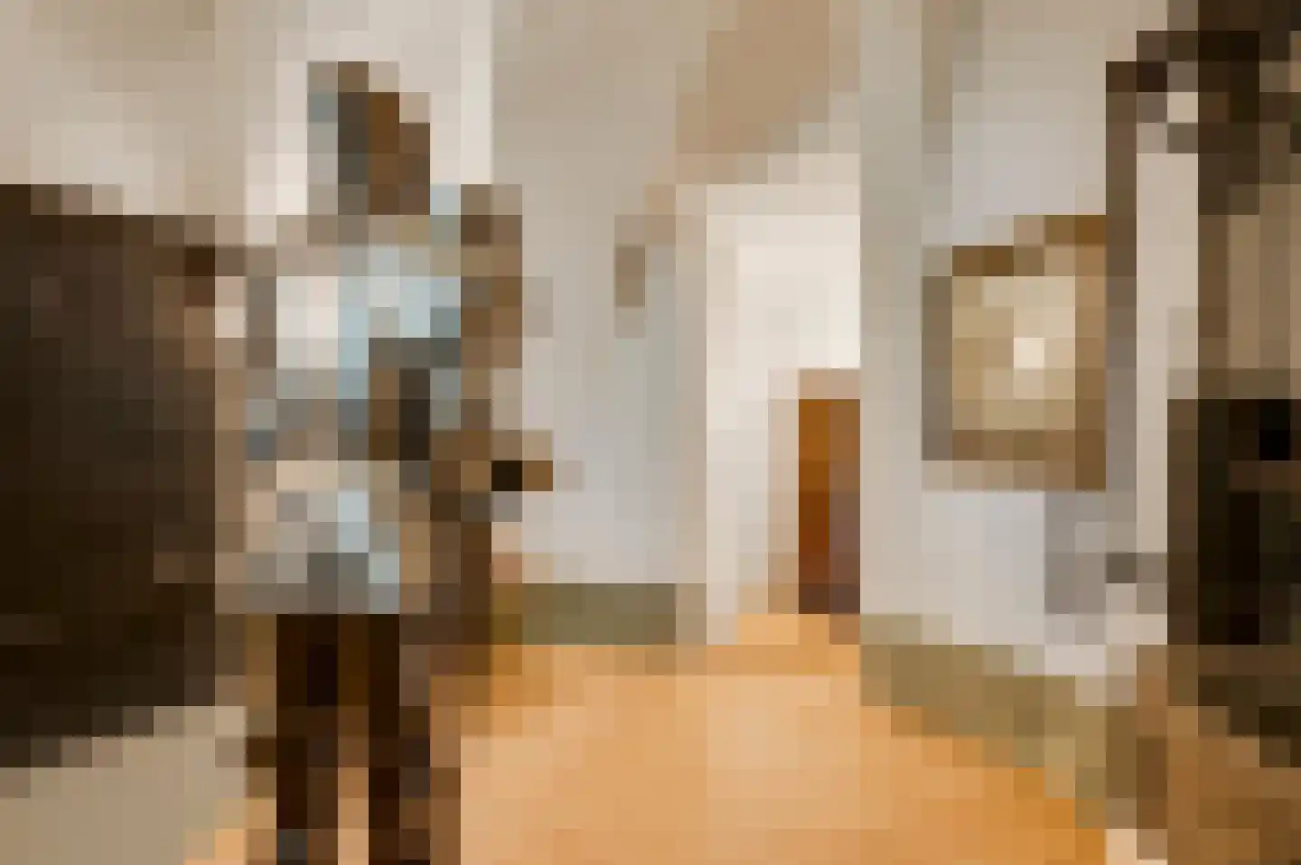 Rijksweg 68 Gronsveld thumbnail 16