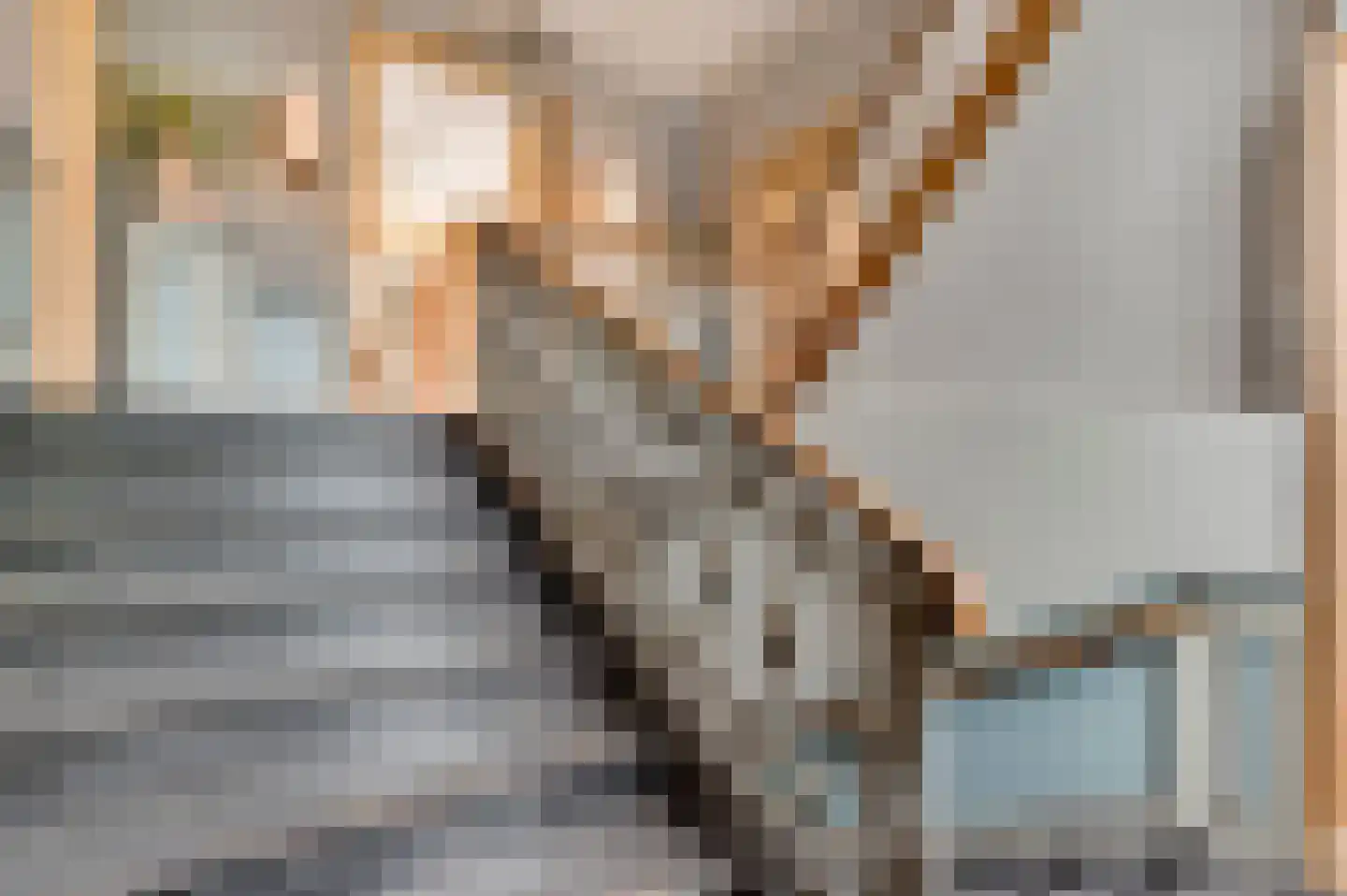 Rijksweg 68 Gronsveld thumbnail 17