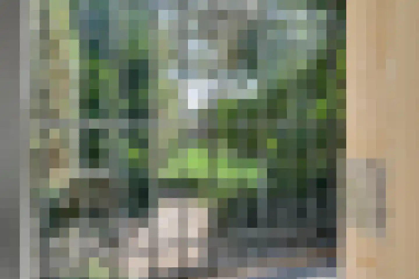 Rijksweg 68 Gronsveld thumbnail 20