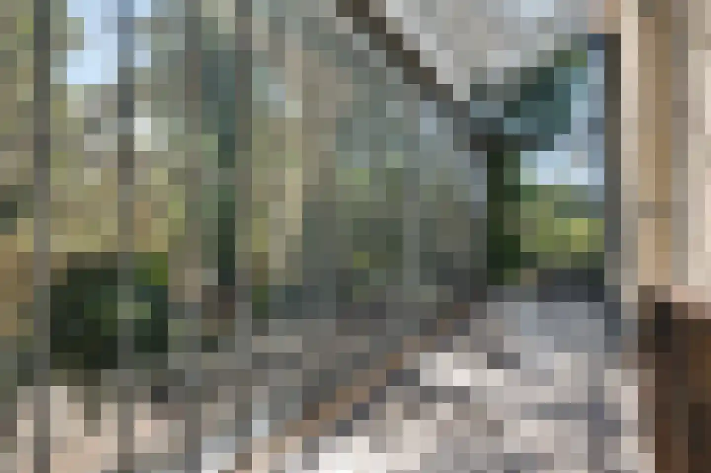 Rijksweg 68 Gronsveld thumbnail 21