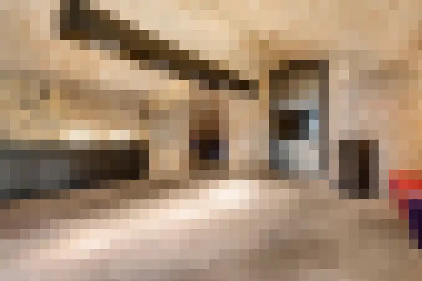 Rijksweg 68 Gronsveld thumbnail 45